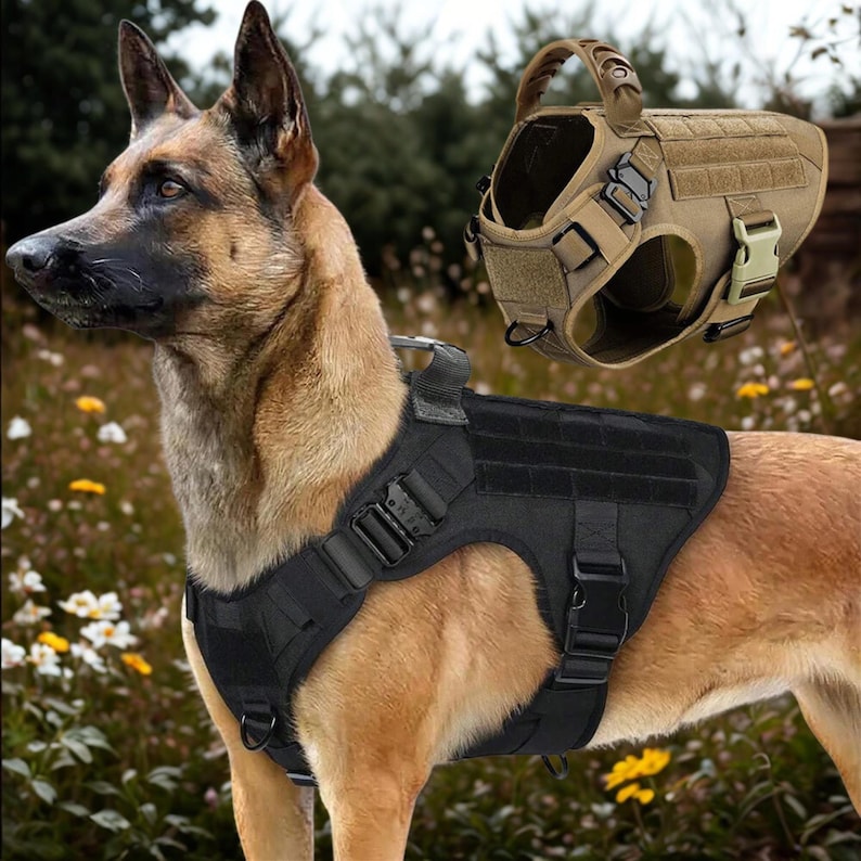Harnais militaire tactique pour chiens de grande et moyenne taille, gilet de dressage pour berger allemand et malinois, chasse, accessoires d'extérieur pour chiens