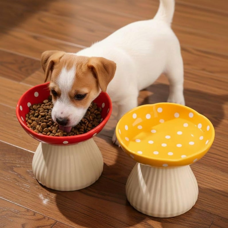 Bol pour animaux de compagnie en céramique champignon surélevé bol en céramique pour chat bol pour chiot plat de nourriture bol pour petit chien fournitures pour animaux de compagnie Décor champignon bol d'eau pour chat cadeau pour animaux de compagnie