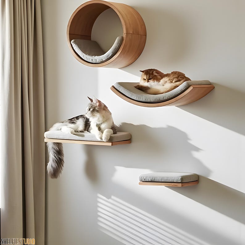 Lit mural pour chat moderne avec étagères flottantes en bois