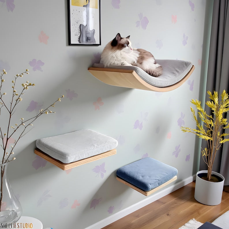 Lit mural pour chat moderne avec étagères flottantes en bois