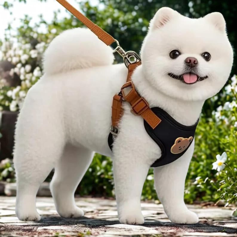Harnais respirant réglable avec laisse pour chien ou chat