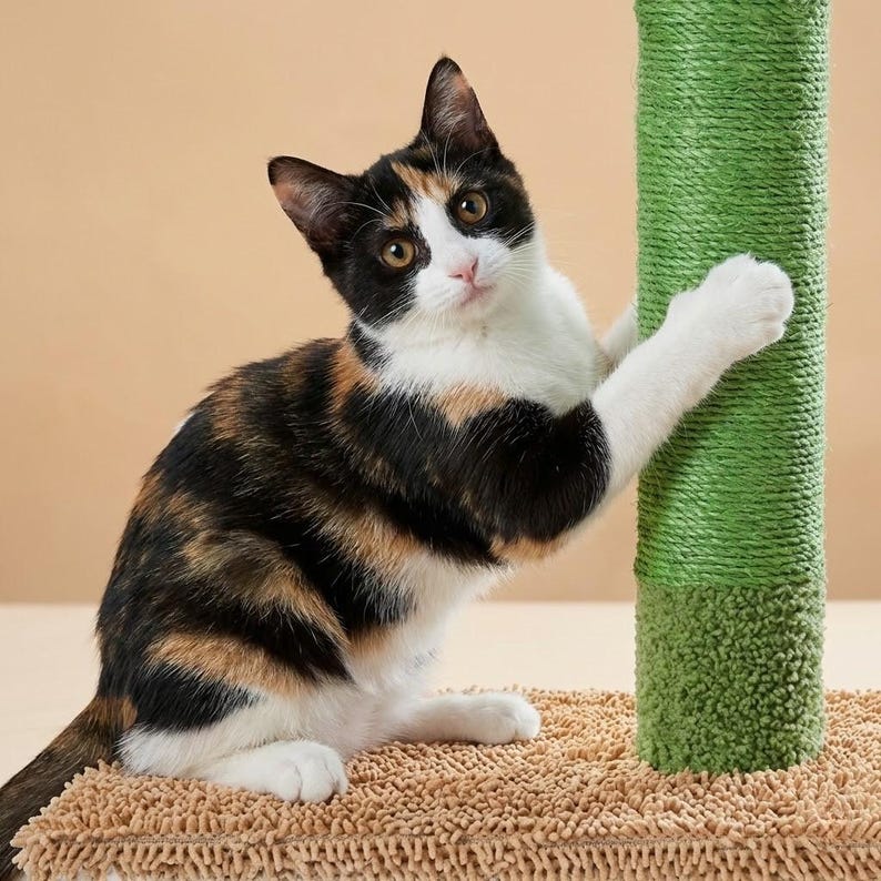 Arbre à chat au sol du sol au plafond avec griffoir en sisal et condo