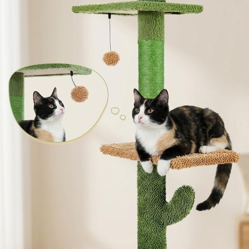 Arbre à chat au sol du sol au plafond avec griffoir en sisal et condo