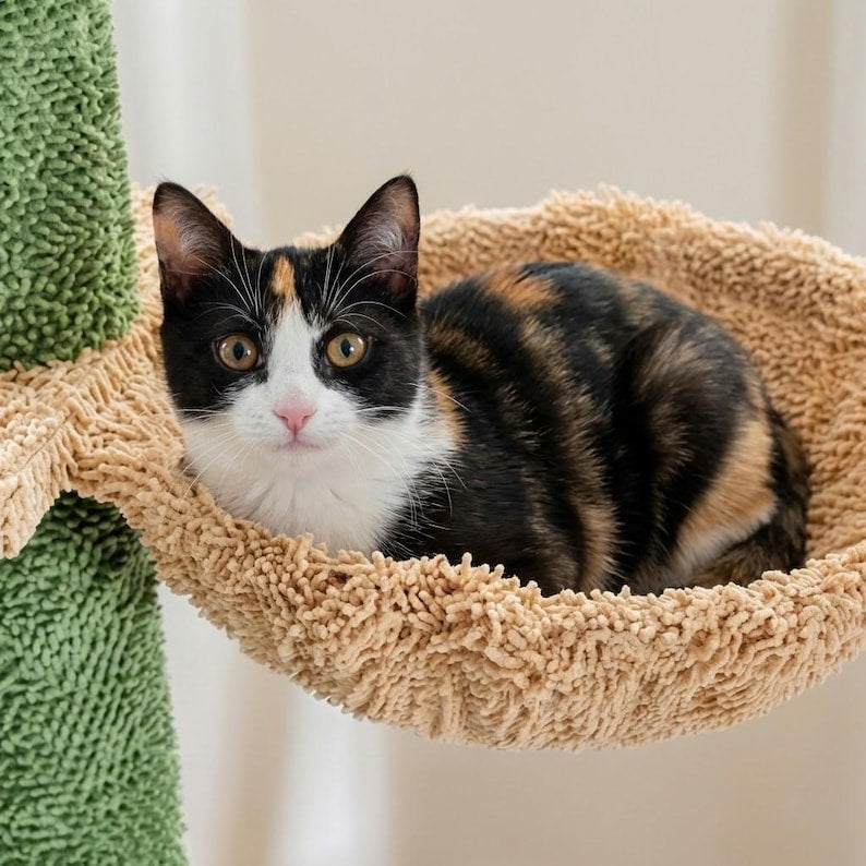 Arbre à chat au sol du sol au plafond avec griffoir en sisal et condo