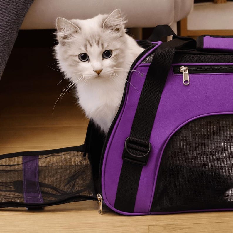 Sac de voyage pour animal souple respirant pour chats et petits chiens