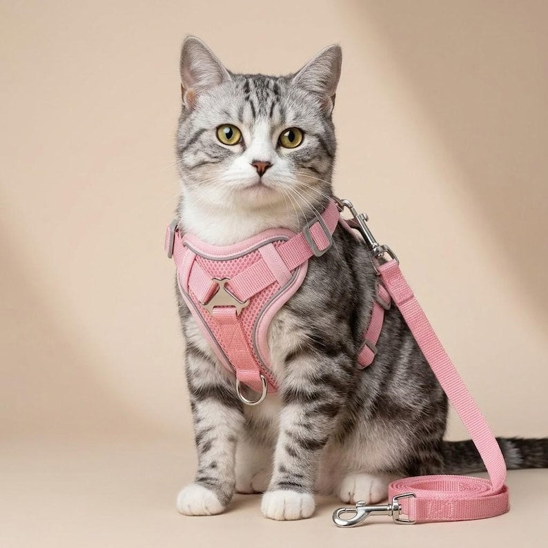 Harnais respirant réglable anti‑fuite avec laisse pour chat