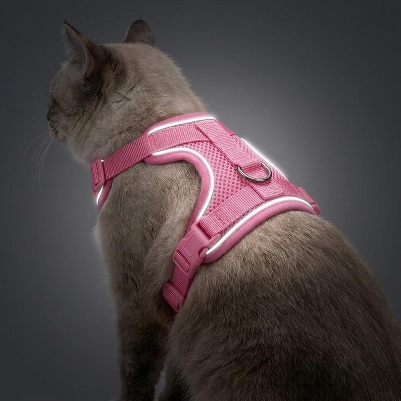 Harnais respirant réglable anti‑fuite avec laisse pour chat