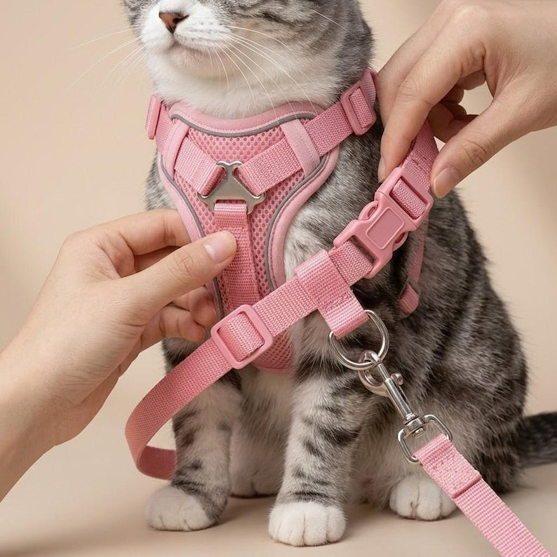 Harnais respirant réglable anti‑fuite avec laisse pour chat