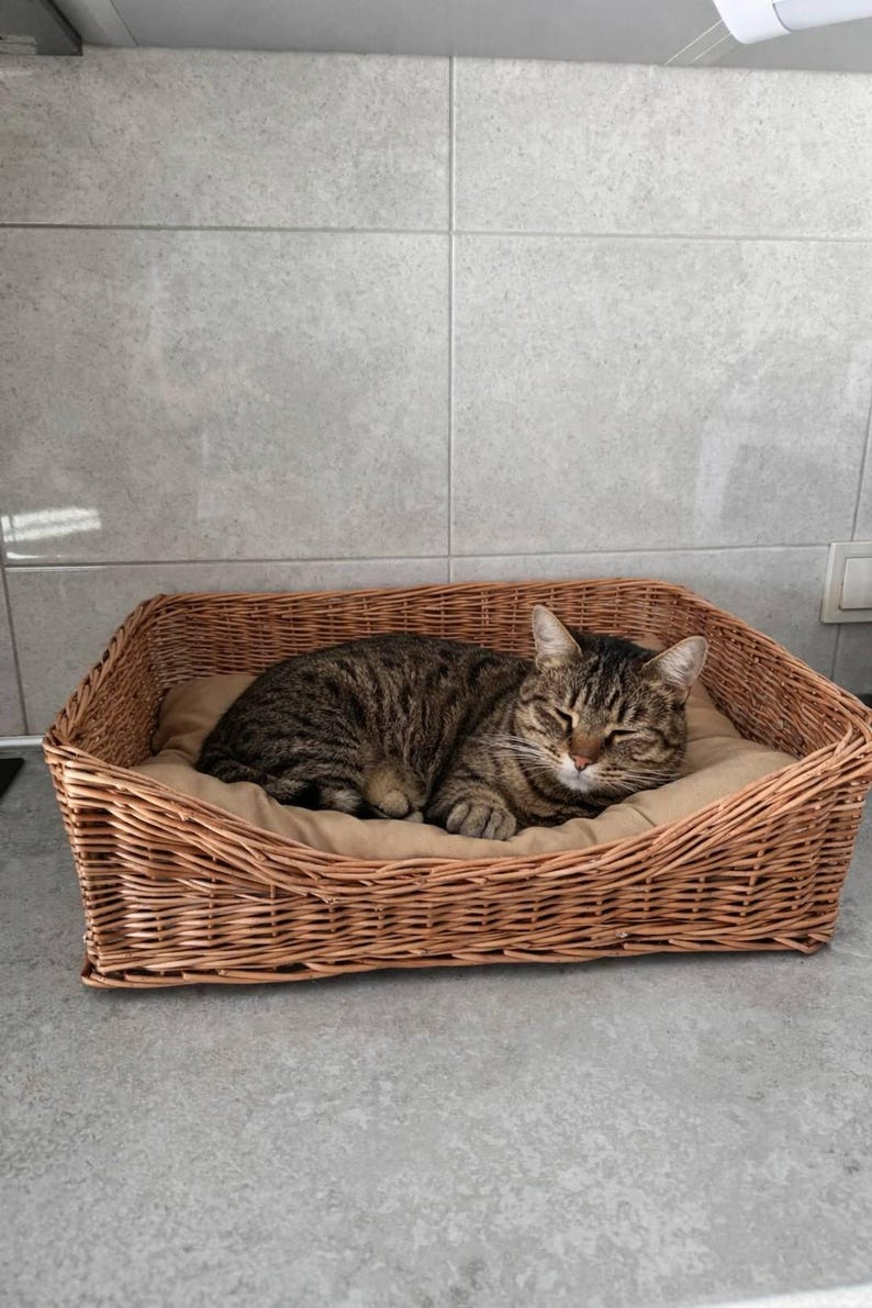 Panier en osier rustique pour chien et chat avec oreiller intérieur
