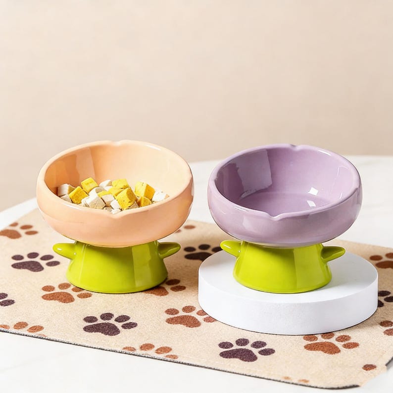 Gamelle pour animal en céramique fruit kaki inclinée surélevée respectueuse des moustaches