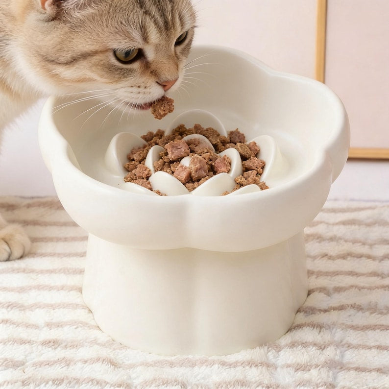 Gamelle anti-glouton pour chat en céramique avec mangeoire surélevée