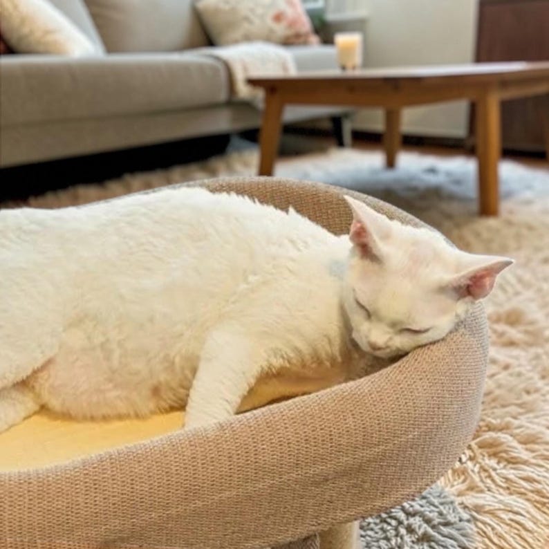 Arbre à chat au sol avec lit, support d’escalade moderne et échelle