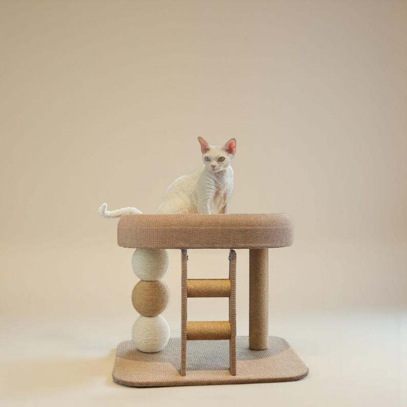 Arbre à chat au sol avec lit, support d’escalade moderne et échelle