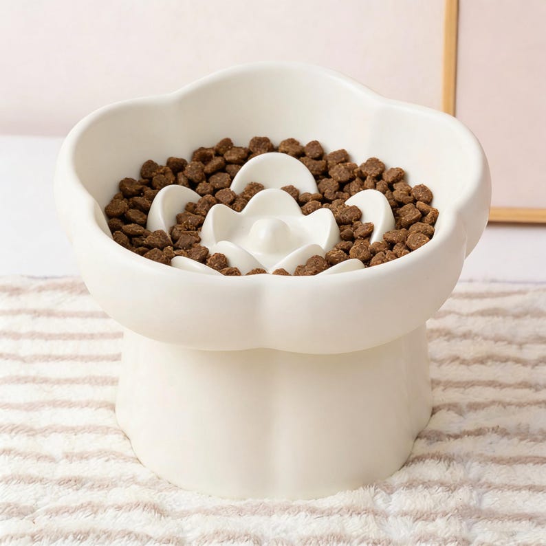 Gamelle anti-glouton pour chat en céramique avec mangeoire surélevée
