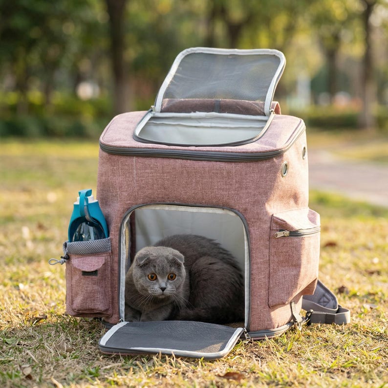 Sac de voyage pour animal approuvé avion, sac à dos respirant chats et chiens