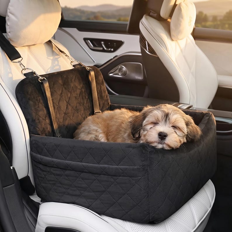 Siège d'auto pour animal canapé sac de transport pour chiot et chat