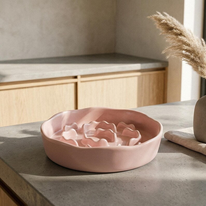 Gamelle anti-glouton en céramique avec bol minimaliste pour chat