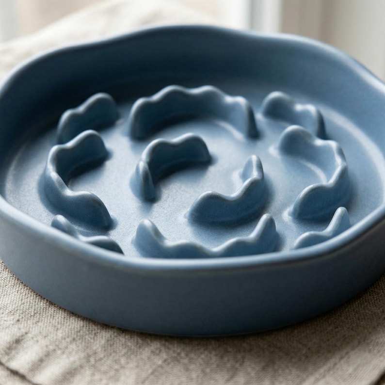Gamelle anti-glouton en céramique avec bol minimaliste pour chat