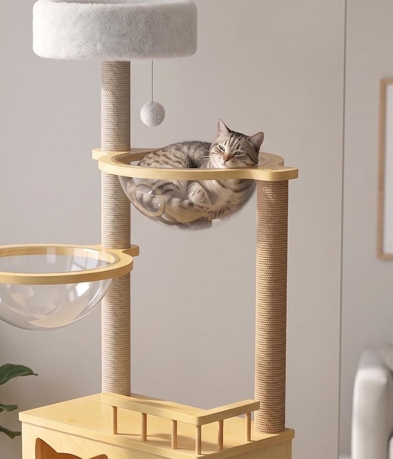 Arbre à chat au sol multi-niveaux avec hamacs capsule et tour de jeu