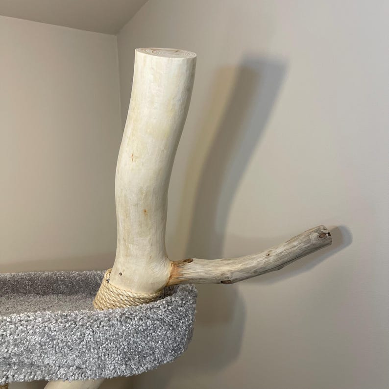 Arbre à chat au sol pour grands chats en bois avec corde de sisal