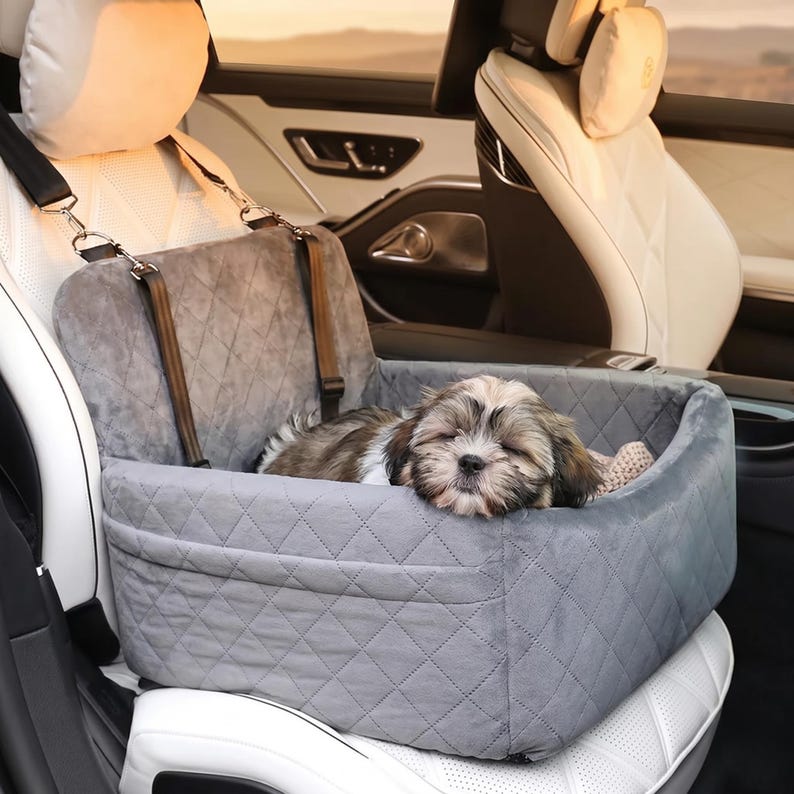 Siège d'auto pour animal canapé sac de transport pour chiot et chat