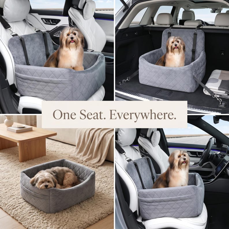 Siège d'auto pour animal canapé sac de transport pour chiot et chat