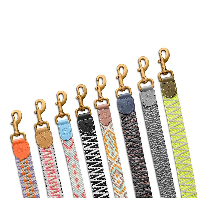 Laisse premium pour chien - Réglable en 3 points - 2 m
