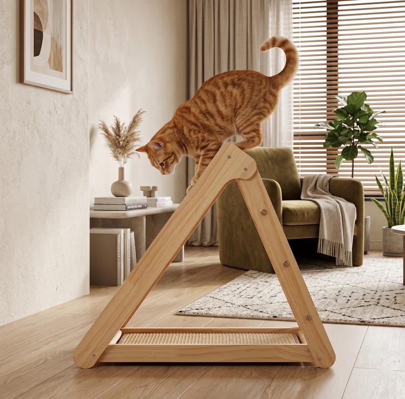 Griffoir pour chat en bois avec rampe et perchoir
