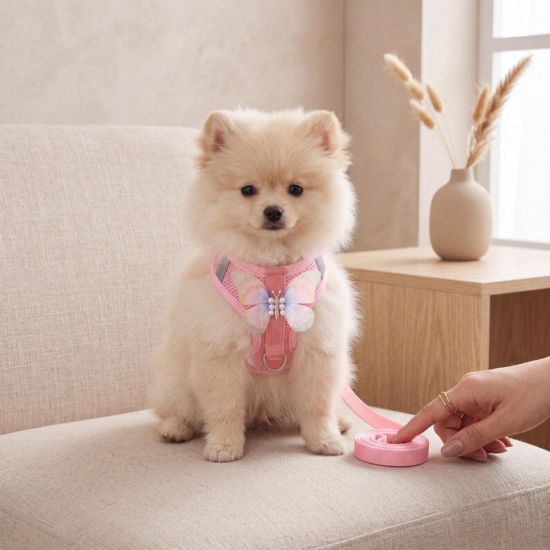 Harnais papillon respirant avec laisse réglable pour chiot et chat