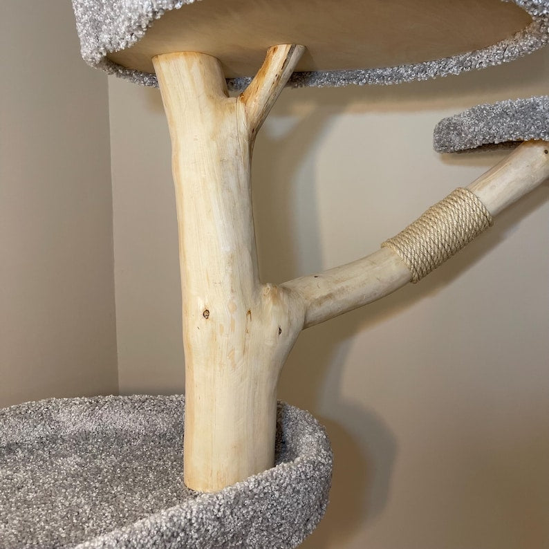 Arbre à chat au sol pour grands chats en bois avec corde de sisal
