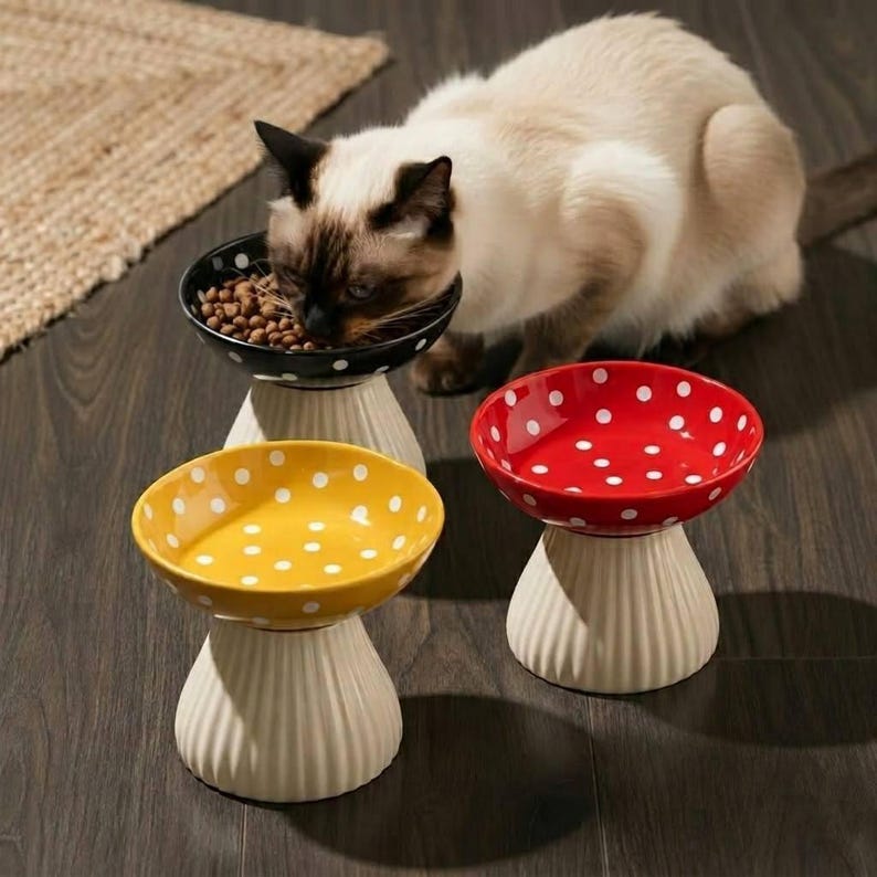 Bol pour animaux de compagnie en céramique champignon surélevé bol en céramique pour chat bol pour chiot plat de nourriture bol pour petit chien fournitures pour animaux de compagnie Décor champignon bol d'eau pour chat cadeau pour animaux de compagnie