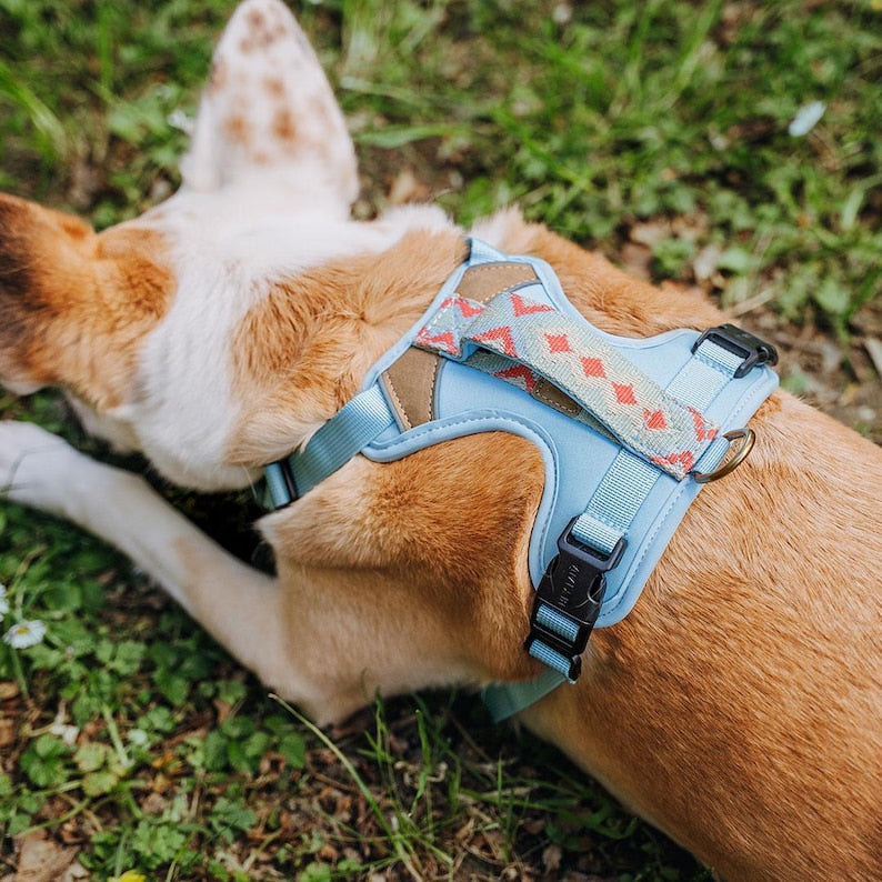 Harnais rembourré haut de gamme pour chien avec poignée et réflecteurs - Très Chic