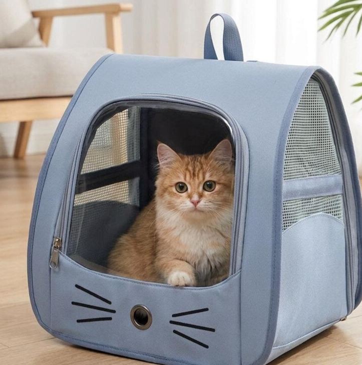 Sac à dos de transport pour chat, sac à dos de voyage respirant pour chats et petits chiens, sac de transport portable pour animal de compagnie pour l'extérieur