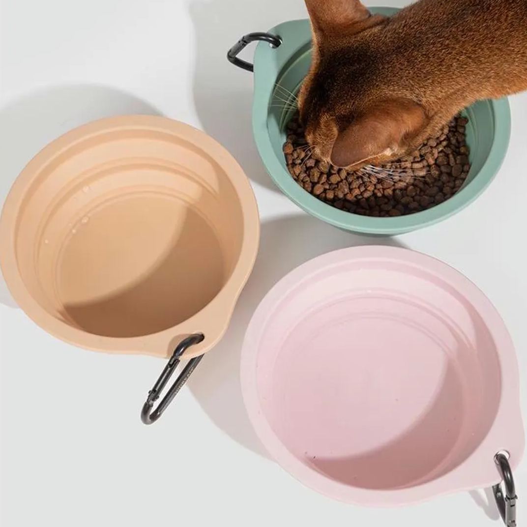 Gamelle pliable double en silicone pour animaux, eau et repas