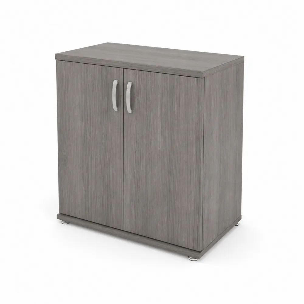 Armadio Contenitore in Legno Grigio con 2 Ante