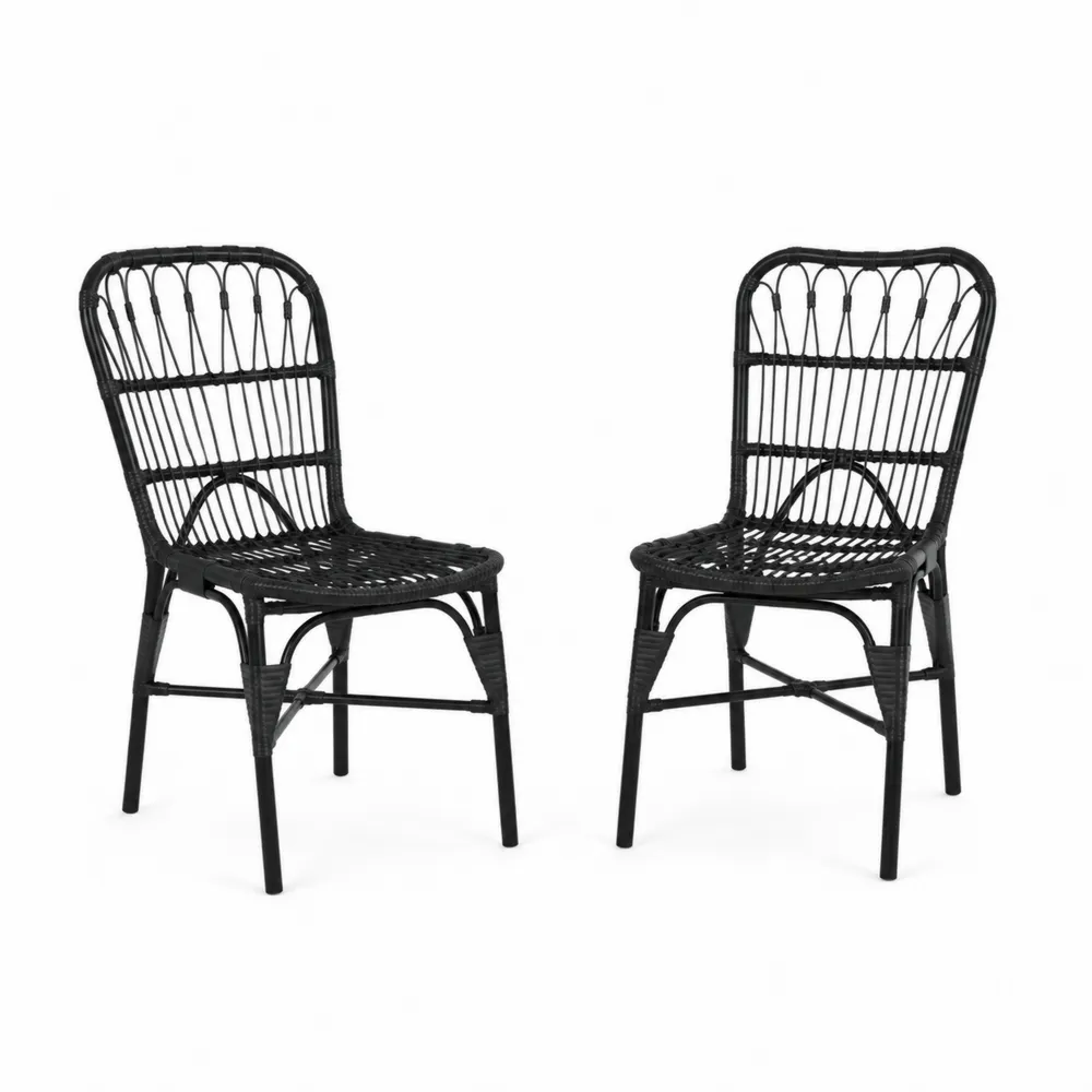 Chaises en rotin synthétique noir 45x50x90cm lot de 2-Solvortinela