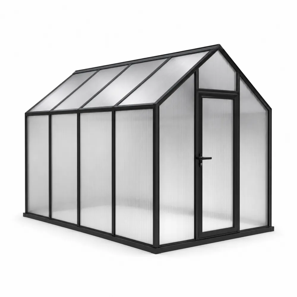 Serre de Jardin en Polycarbonate et Aluminium Noir 300x190x200 cm
