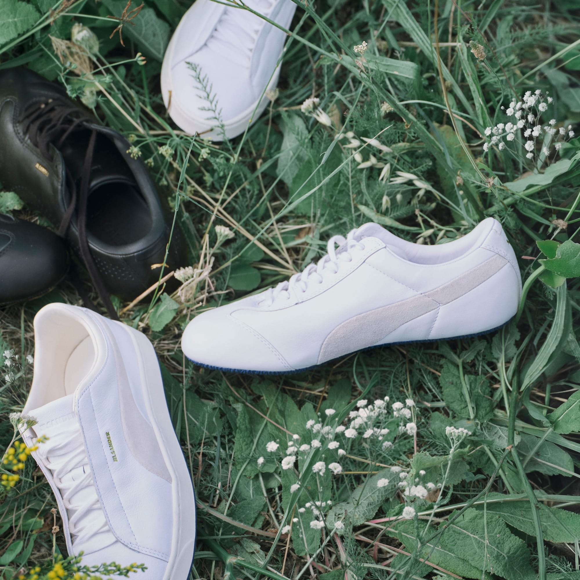 メンズ PUMA x JIL SANDER スピードキャット L スニーカー, PUMA White-Blue Jewel, extralarge-JPN