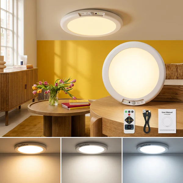 Rechargeable Motion Sensor Ceiling Light with Remote
