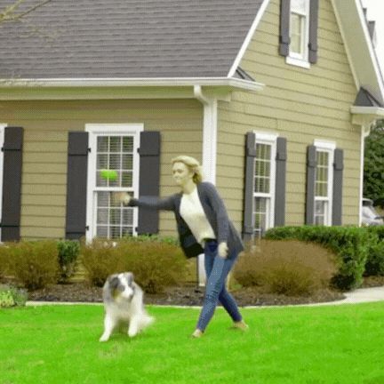 Wireless Dog Fence Collar System