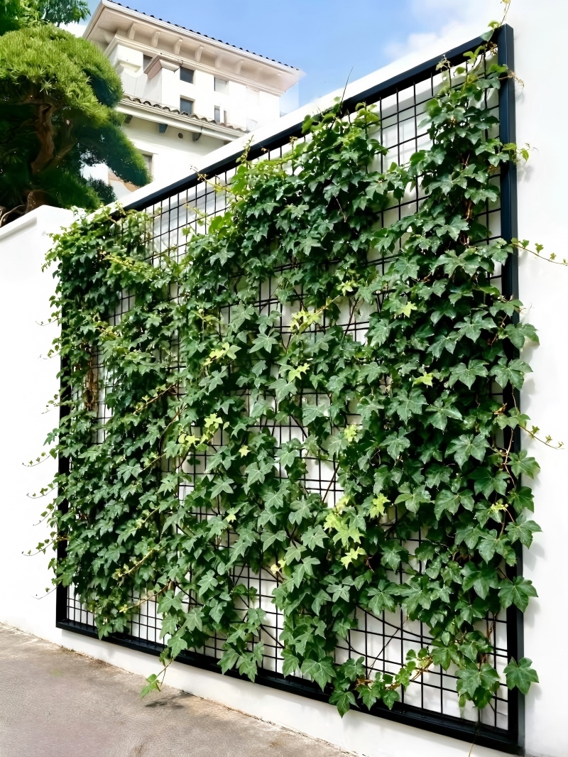 Garden Trellis, Wire Mesh Trellis, Plant Climbing Support, Wall Mount Trellis, 3D Mesh Panel, Rose Vine Trellis, Green Wall Panel, Outdoor Garden Decoration