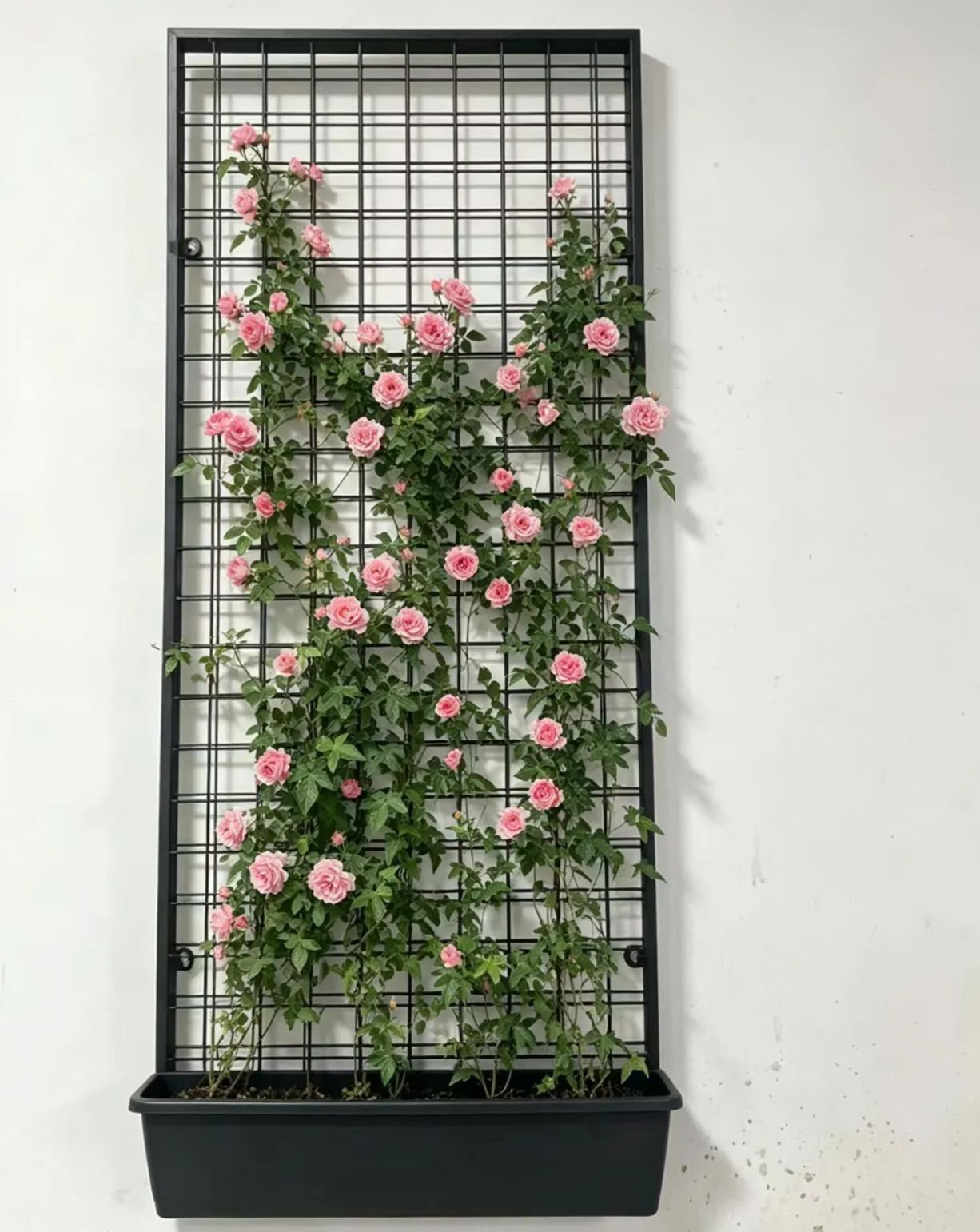 3D Wire Mesh Panel Wall Climbing Trellis for Building Facade Green Wall Garden Vines