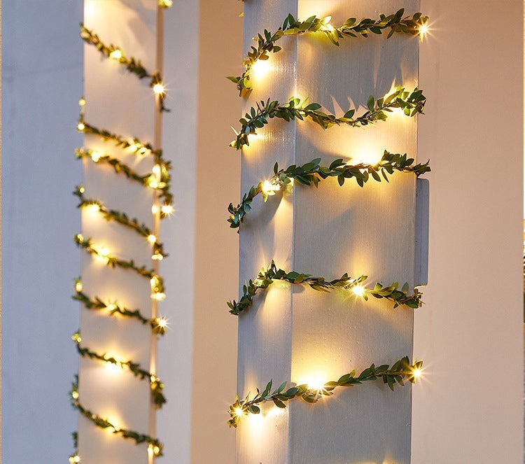 Luminous Ivy Lights