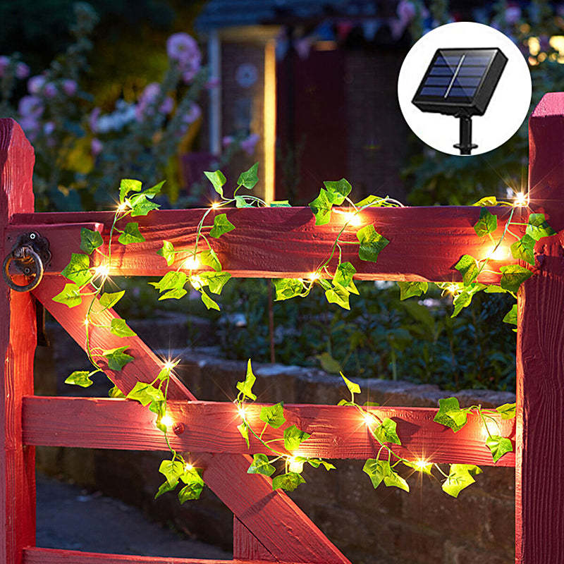 Luminous Ivy Lights