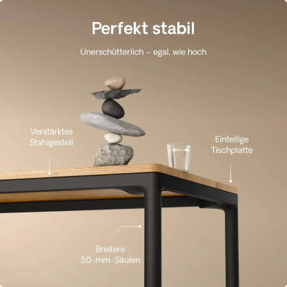 HomeMax Schreibtisch