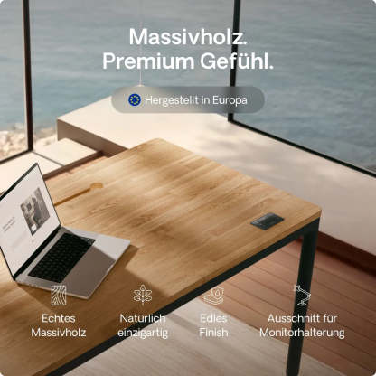 HomeMax Schreibtisch