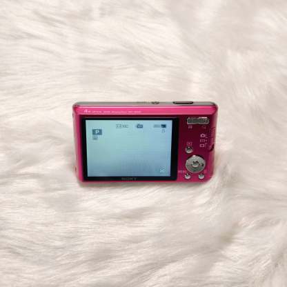 Sony DSC-W530 Pristine condition