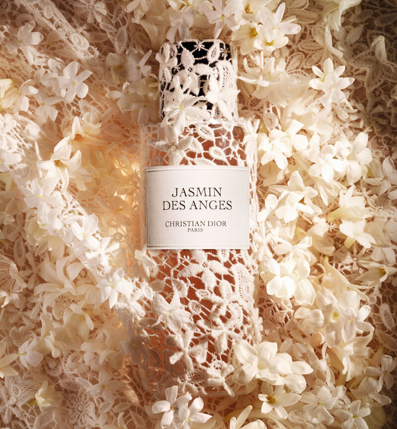 Jasmin des Anges