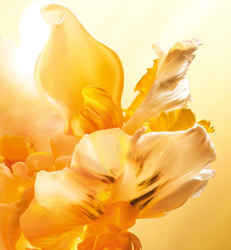 J'adore Eau de Parfum Roller-Pearl