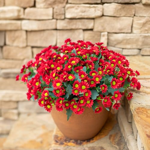 🌼💥Last Day Only $2.99 Each - Artificial Outdoor Mums Flowers - UV resistant, Waterproof, Windproof